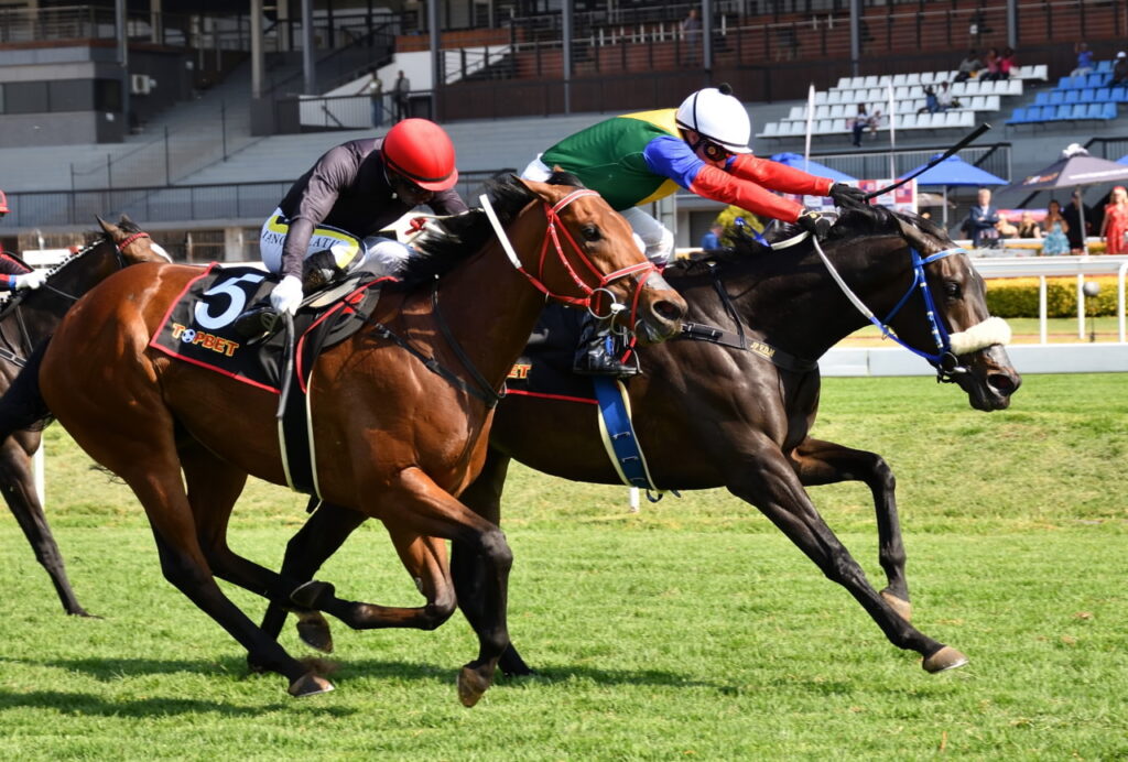 1-2 for De Kock in F&M Challenge