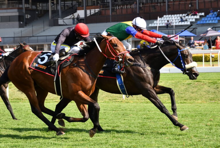 1-2 for De Kock in F&M Challenge