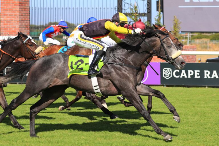 TEFLON MAN Picture: Wayne Marks