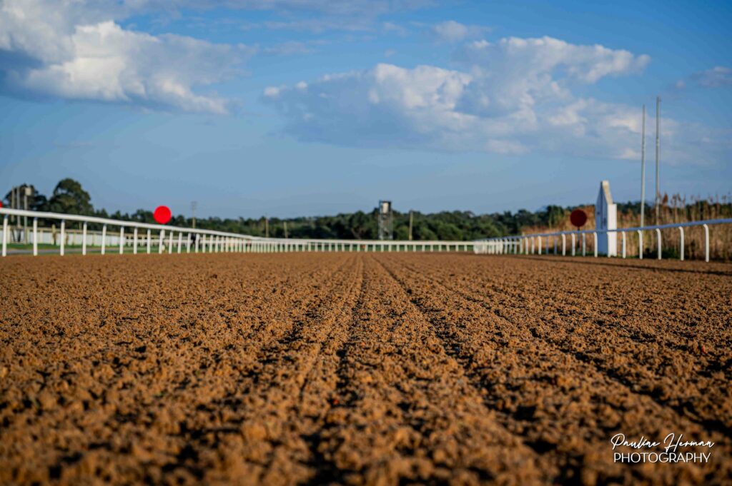 FAIRVIEW MOVES TO POLYTRACK