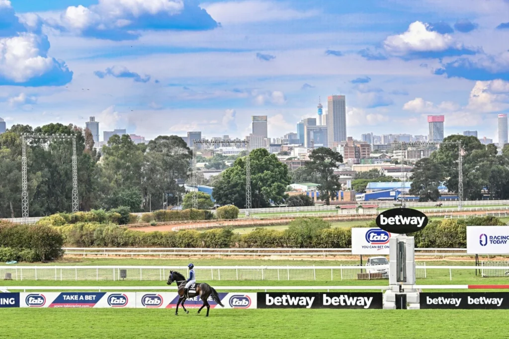 JOHANNESBURG IS 140 YEARS OLD – AND HORSES HAVE ALWAYS BEEN PART OF THE JOURNEY