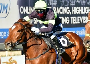 33 remain in Durban July contention