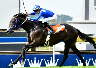 4Racing boost Champions Day stakes