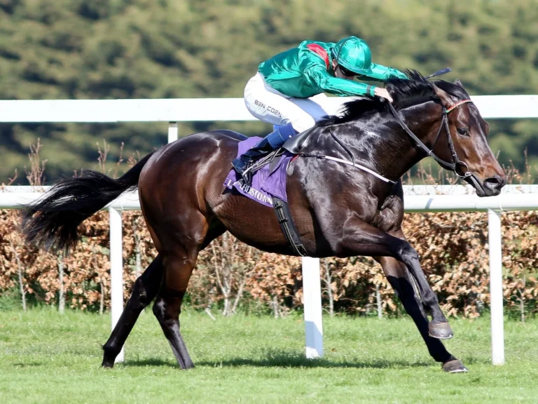 Top fields for Super Saturday at Meydan