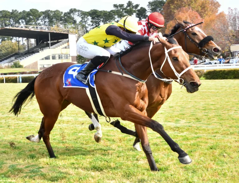 Bellerophon to slay his Turffontein rivals