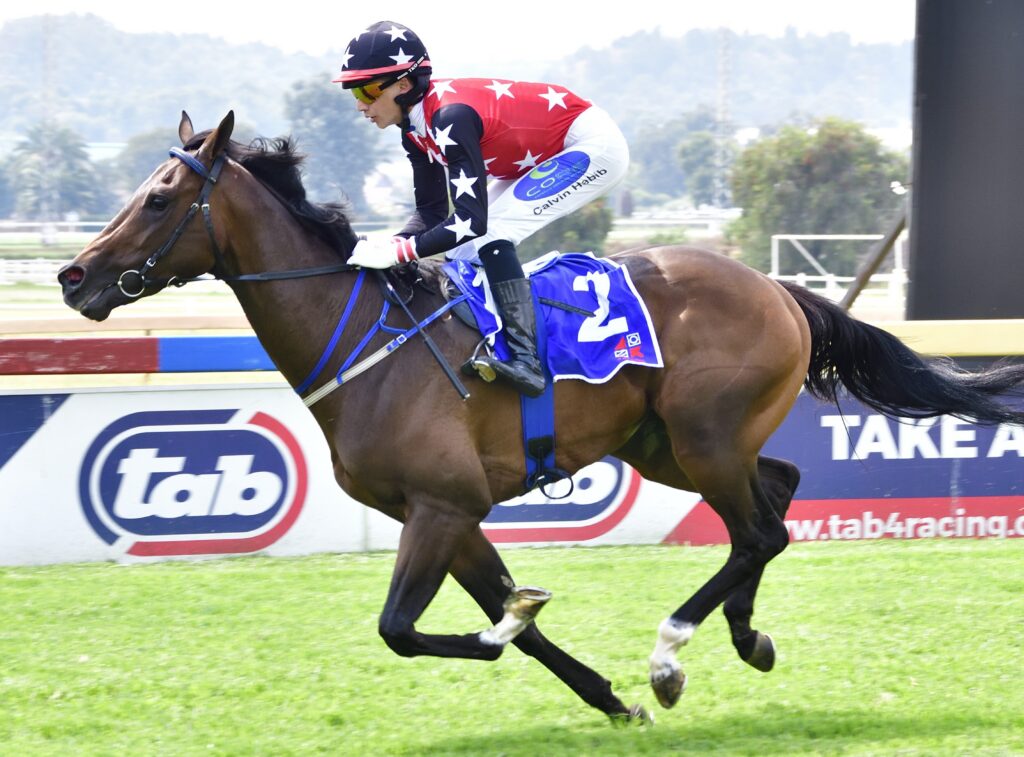 BUFFALO STORM CODY WILL BE HARD TO BEAT IN THE GRADE 1 TAB COMPUTAFORM SPRINT OVER 1000M AT TURFFONTEIN. Picture: JC Photographics