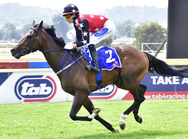 BUFFALO STORM CODY WILL BE HARD TO BEAT IN THE GRADE 1 TAB COMPUTAFORM SPRINT OVER 1000M AT TURFFONTEIN. Picture: JC Photographics