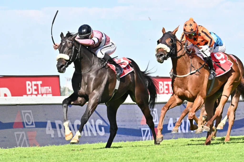 Verdonese gets a shot at July with Choisaanada