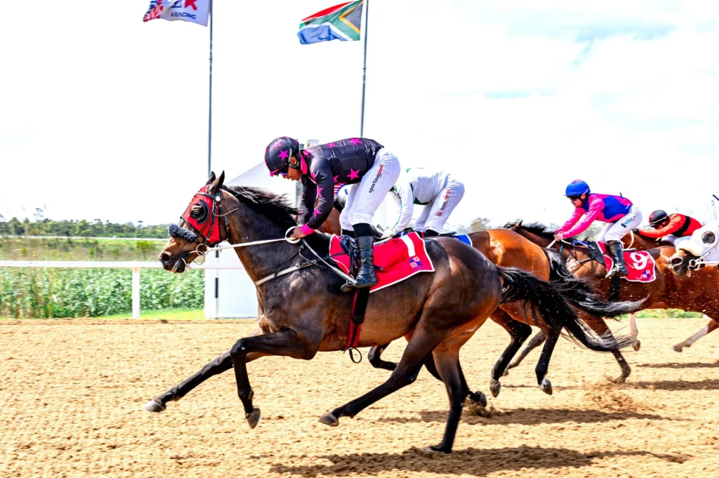Legendary El Romiachi retired from racing