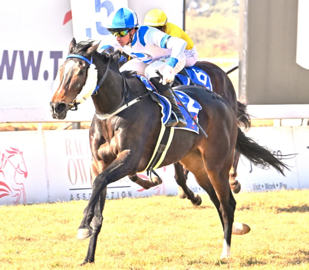 Frangipani returns to her favourite course