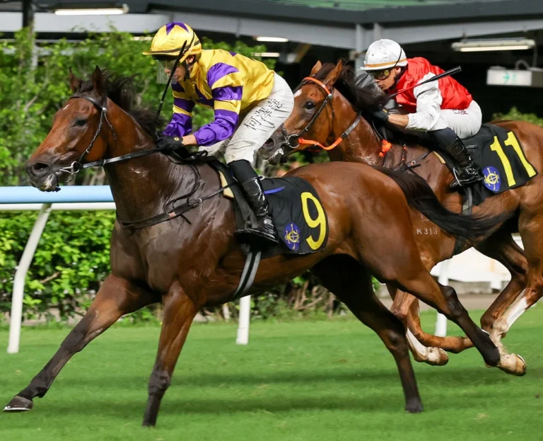 Exciting Le Zonda stands out at Happy Valley