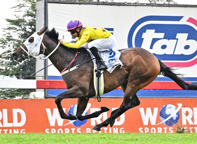 MIAMI MOUNTAIN Picture: JC Photographics