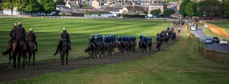 Bow points towards Guineas glory