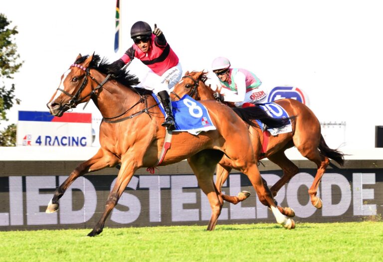 OLIVIA'S WAY WILL RETURN TO RACING AGAINST HER OWN SEX IN THE GRADE 2 IGUGU STAKES OVER 2000M AT TURFFONTEIN ON SATURDAY