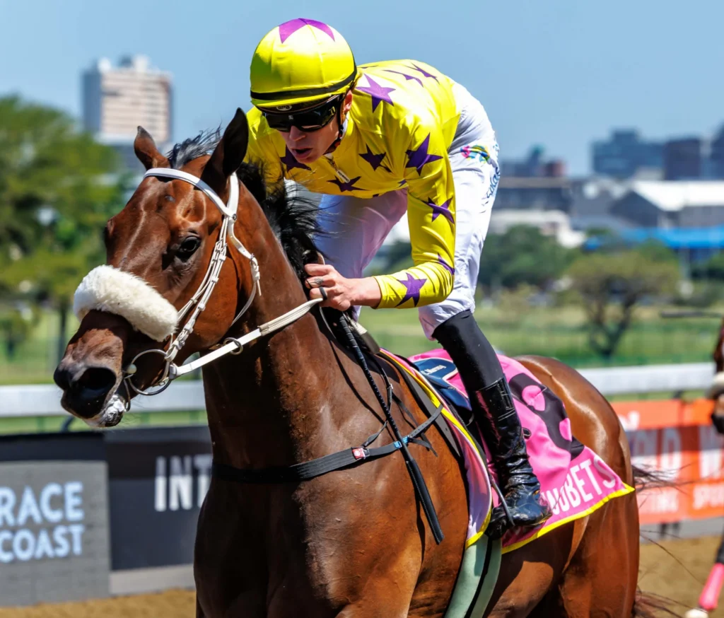 Ovation Star to get her sparkle back
