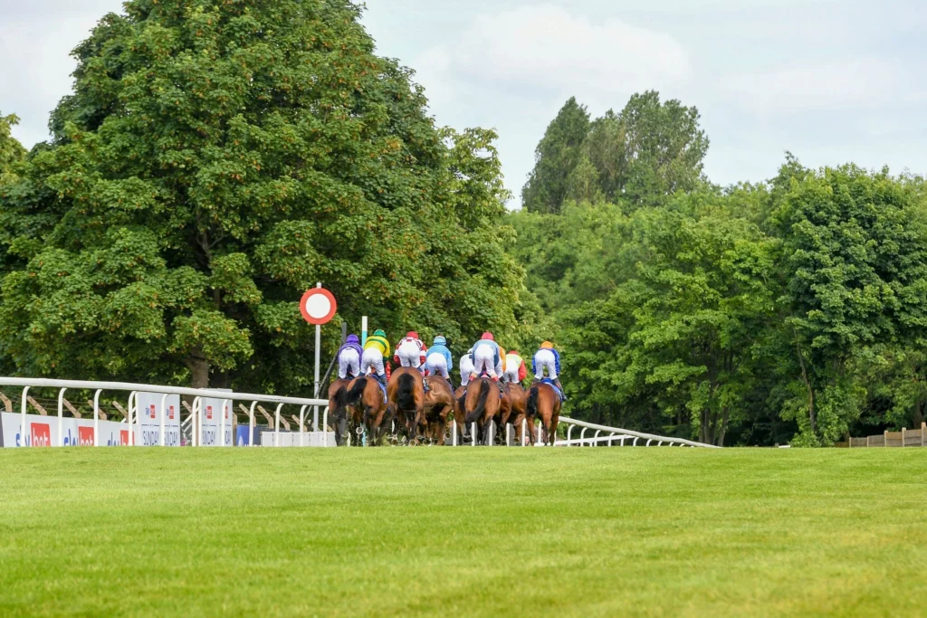 The Good Biscuit looks tasty at Pontefract