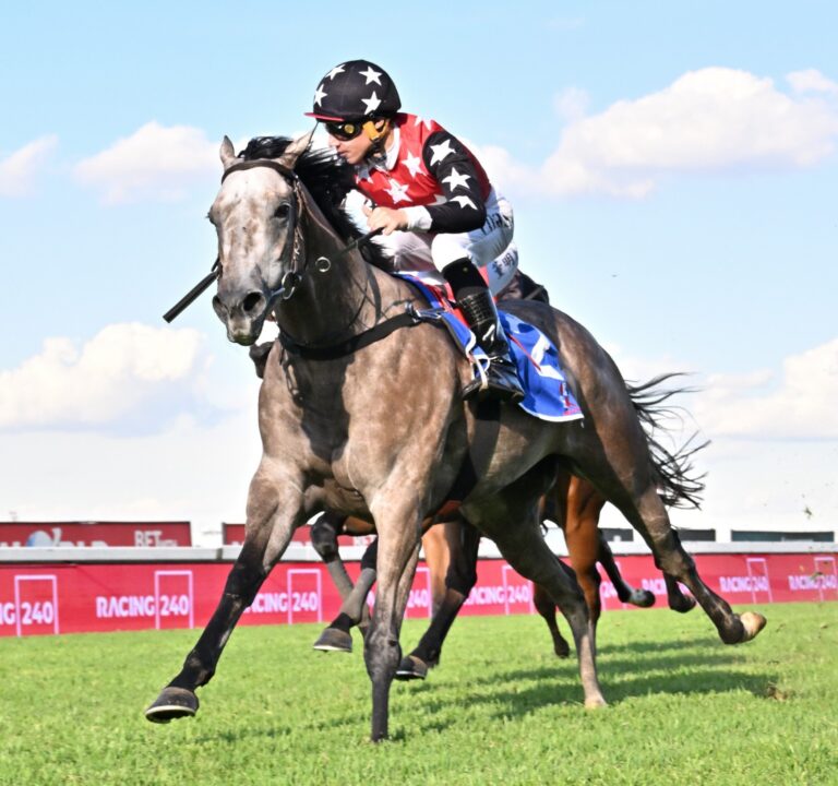 PRECOCIOUS AND BLAINE MARX-JACOBSON CAN SCORE A FIFTH SUCCESSIVE VICTORY WHEN SHE LINES UP AT THE VAAL ON SATURDAY. Picture: JC Photographics