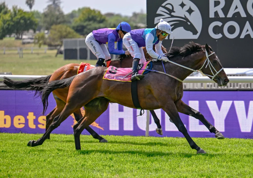 Sossusvlei ready to step up to 1600m