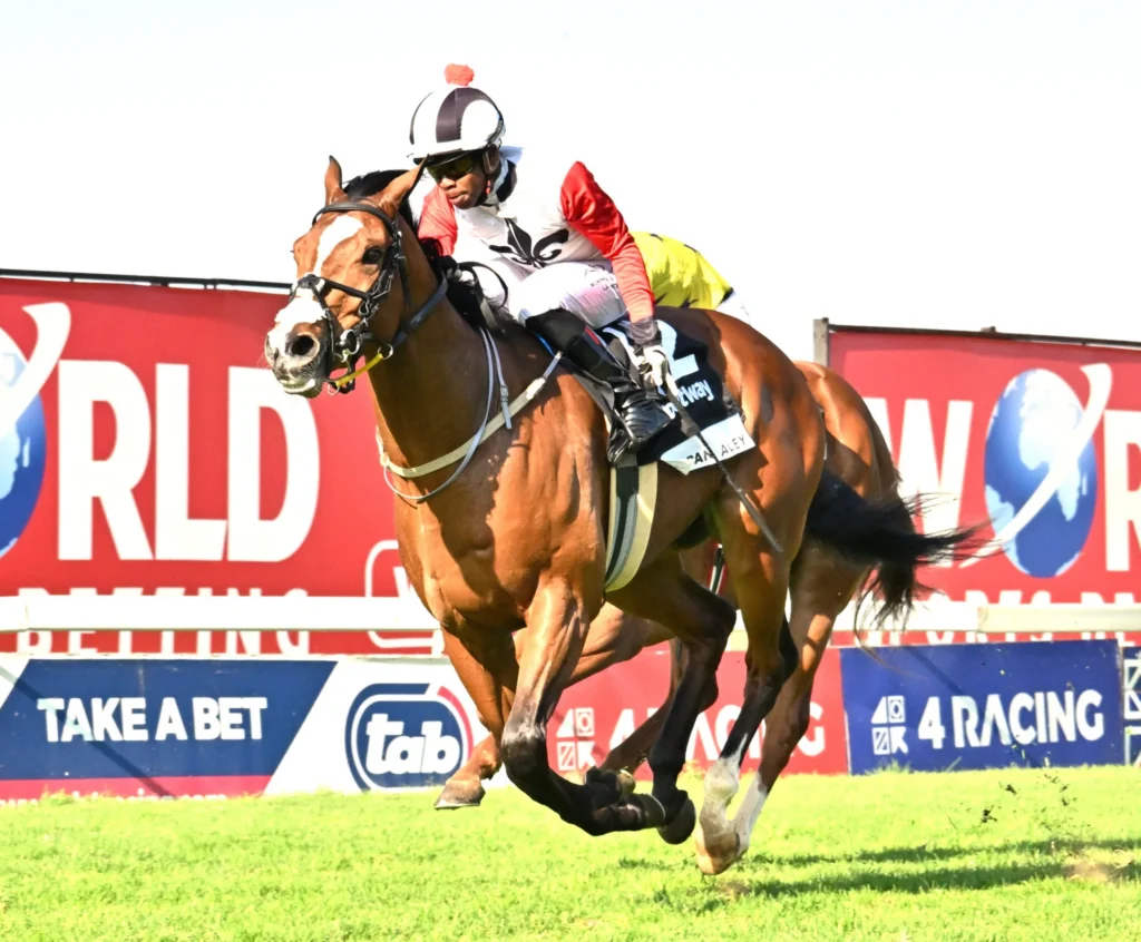 Full field for Betway Joburg Spring Challenge