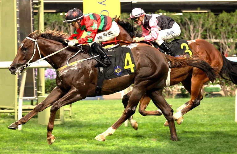 Tycoon has the right resources at Happy Valley