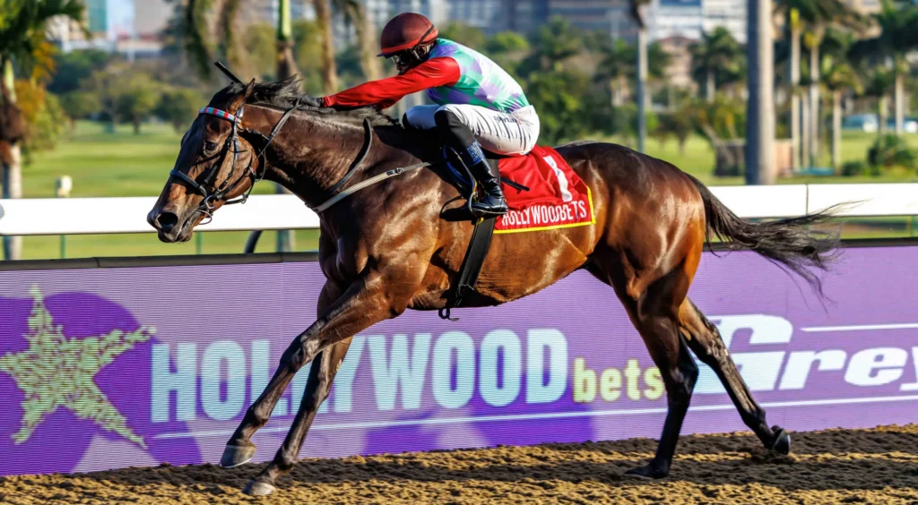 Polytrack prowess to prevail at Greyville