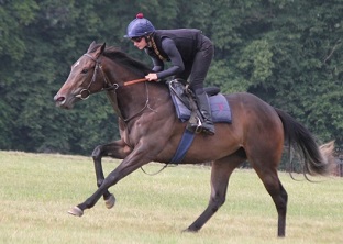 A bet to get us Preening