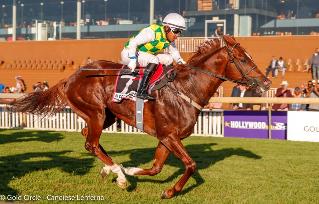 A Jackpot of Grade 1 Sprints