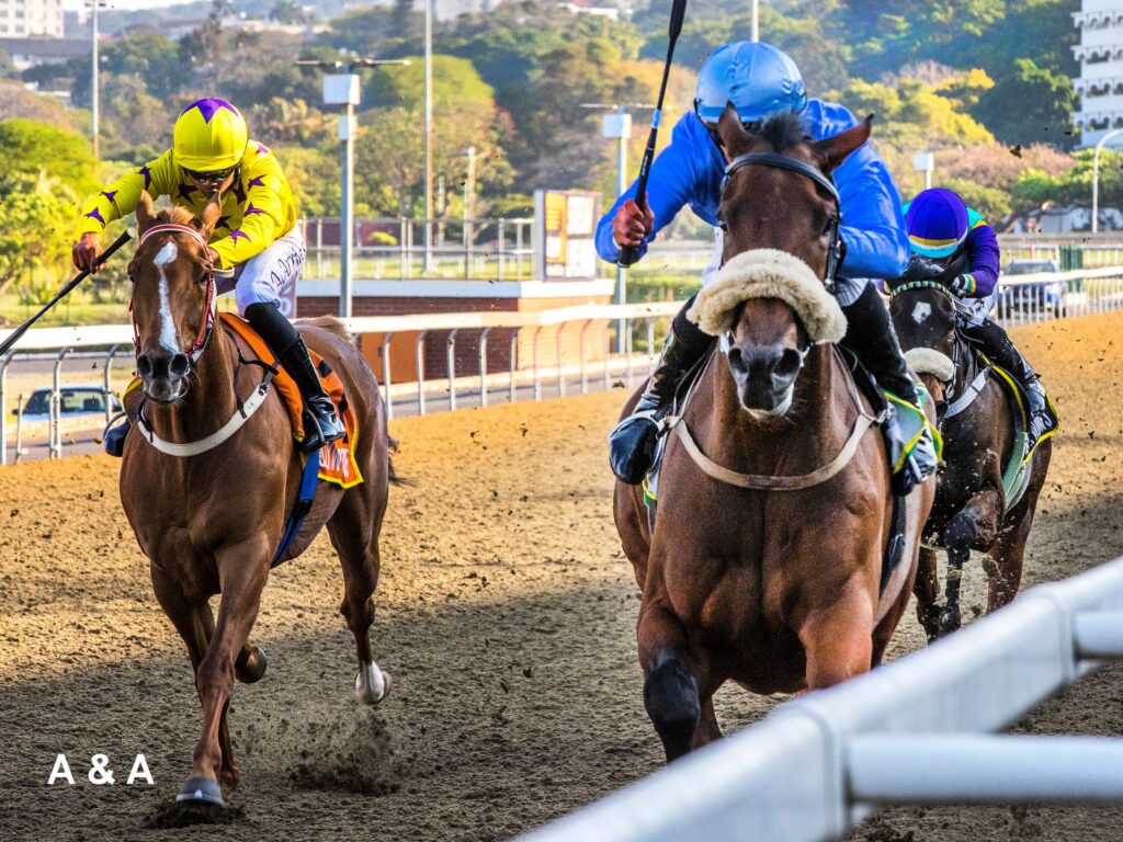 A New day for De Melo