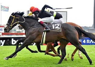 A sparkling day for Kabelo