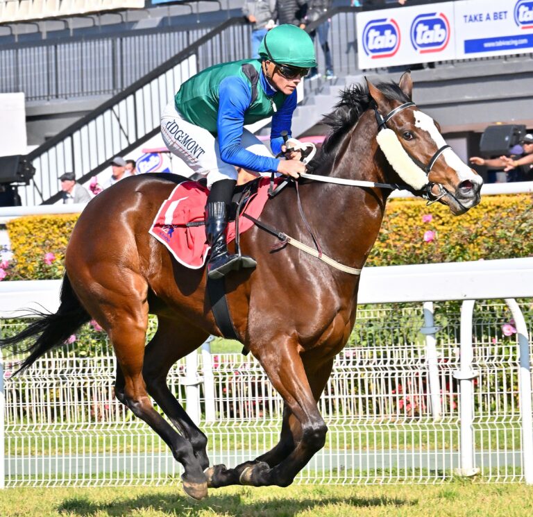 A touch of Tuscan Romance at the Vaal