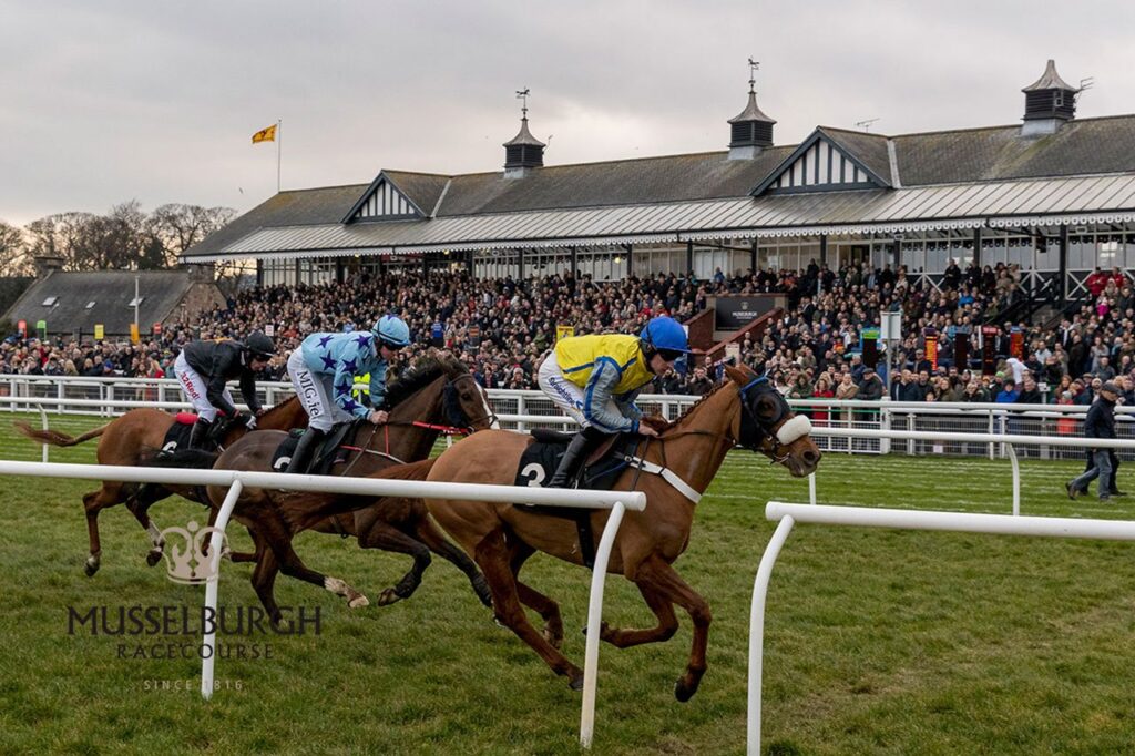 Absolute Notions stands out at Musselburgh