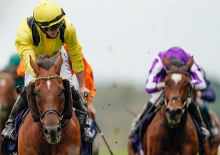 Addeybb for Champion Stakes