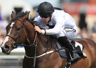 Advertise showcasing talent