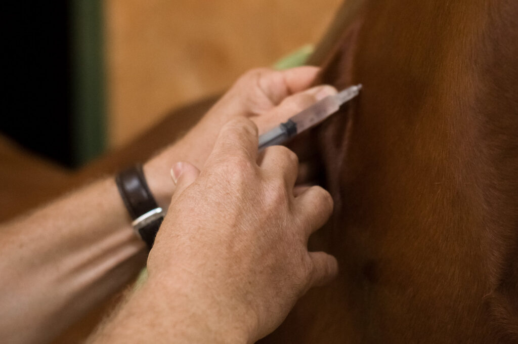 AHS vaccination deadline extension