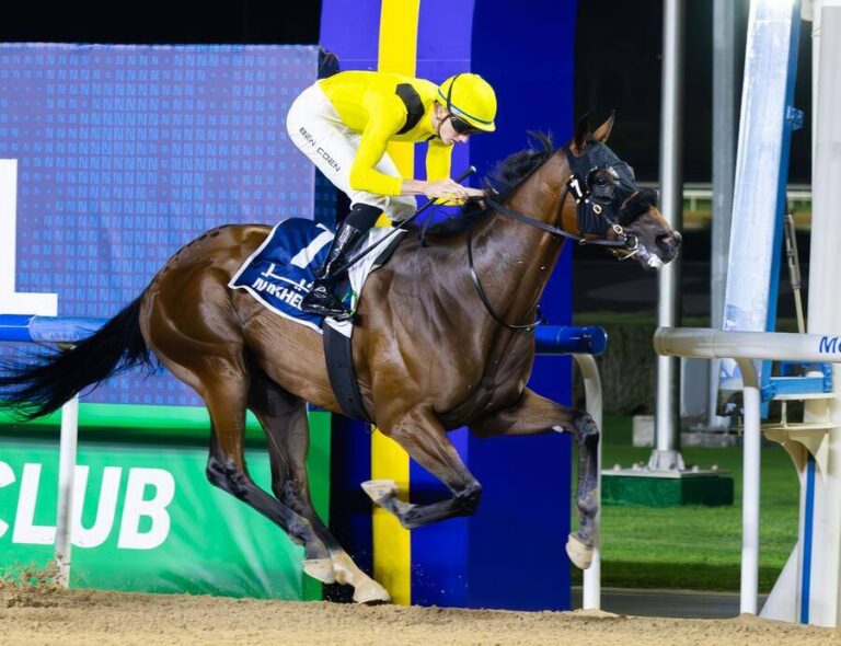 Meshtri chases Al Maktoum Mile at Meydan