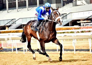 Al Muthana looks the part