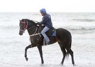 Alboran Sea is ‘thriving’ in Cape Town