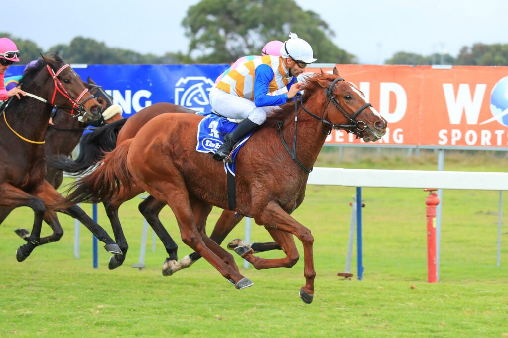 Aldo’s ride ‘Resonates’ best of all