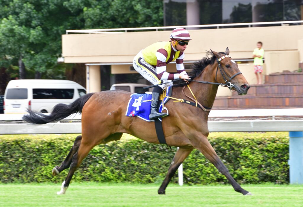 Alesia’s Love to follow up on maiden win