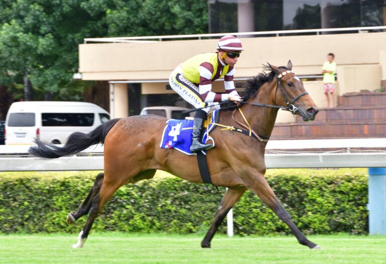 Alesia’s Love to follow up on maiden win