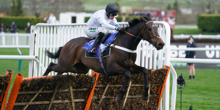 All eyes on Constitution Hill at Cheltenham