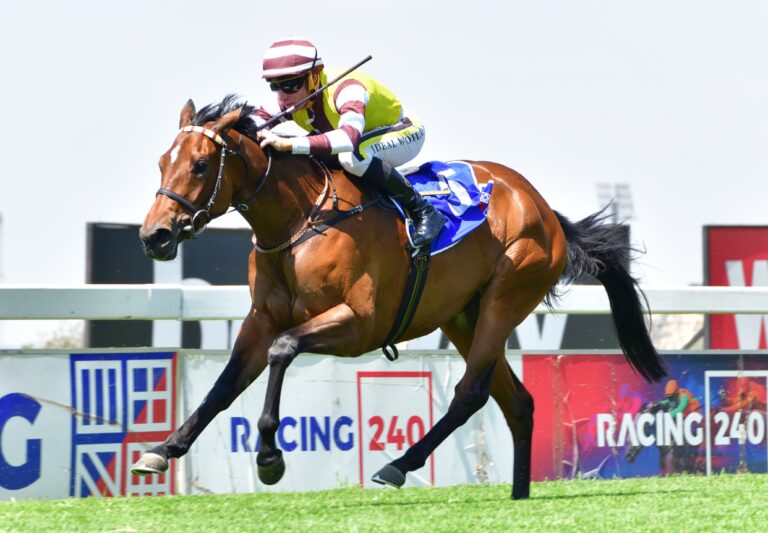 American Rebel stands out at Vaal