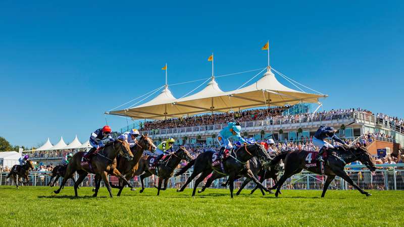 Ancient Wisdom points to Goodwood winner