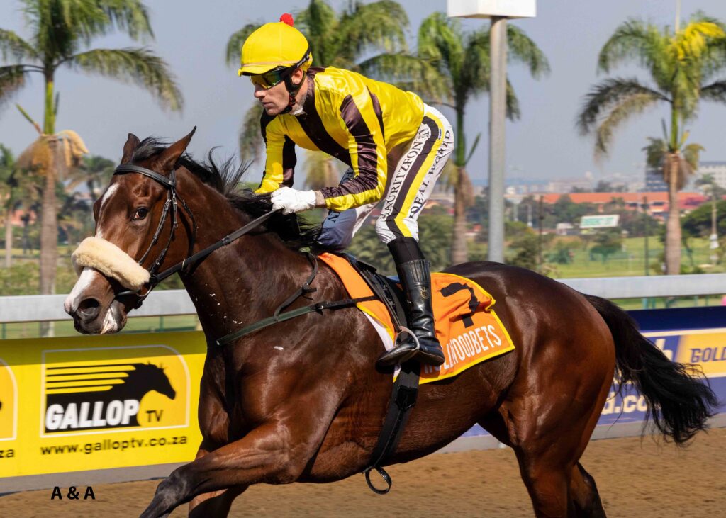 Another Scottsville gold for Lucky Lad