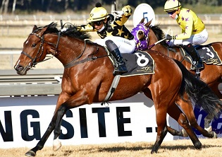 Apprentices in the spotlight