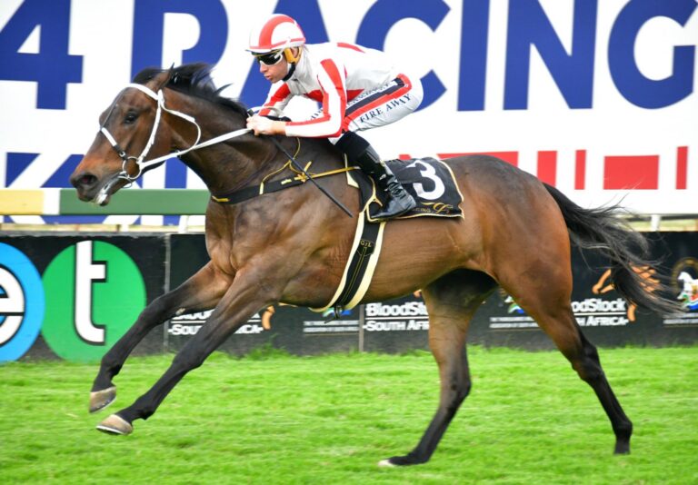 Aragosta looks best in 1900