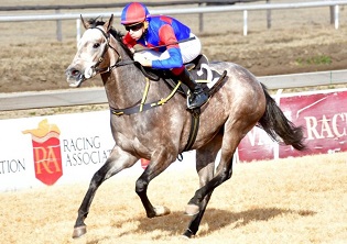 Archie is on the verge