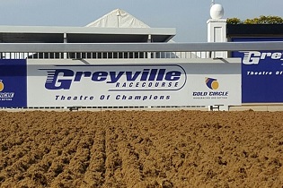 Arctic Princess to benefit from move to Greyville poly