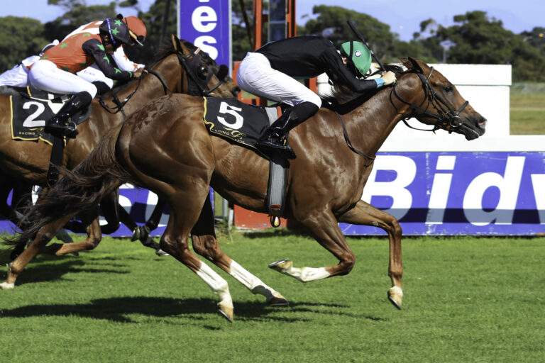 at SA-bred horse can follow up at Meydan