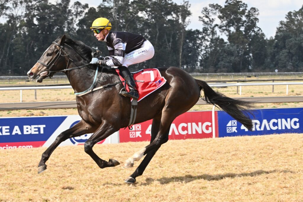 Atticus Finch to strike at the Vaal